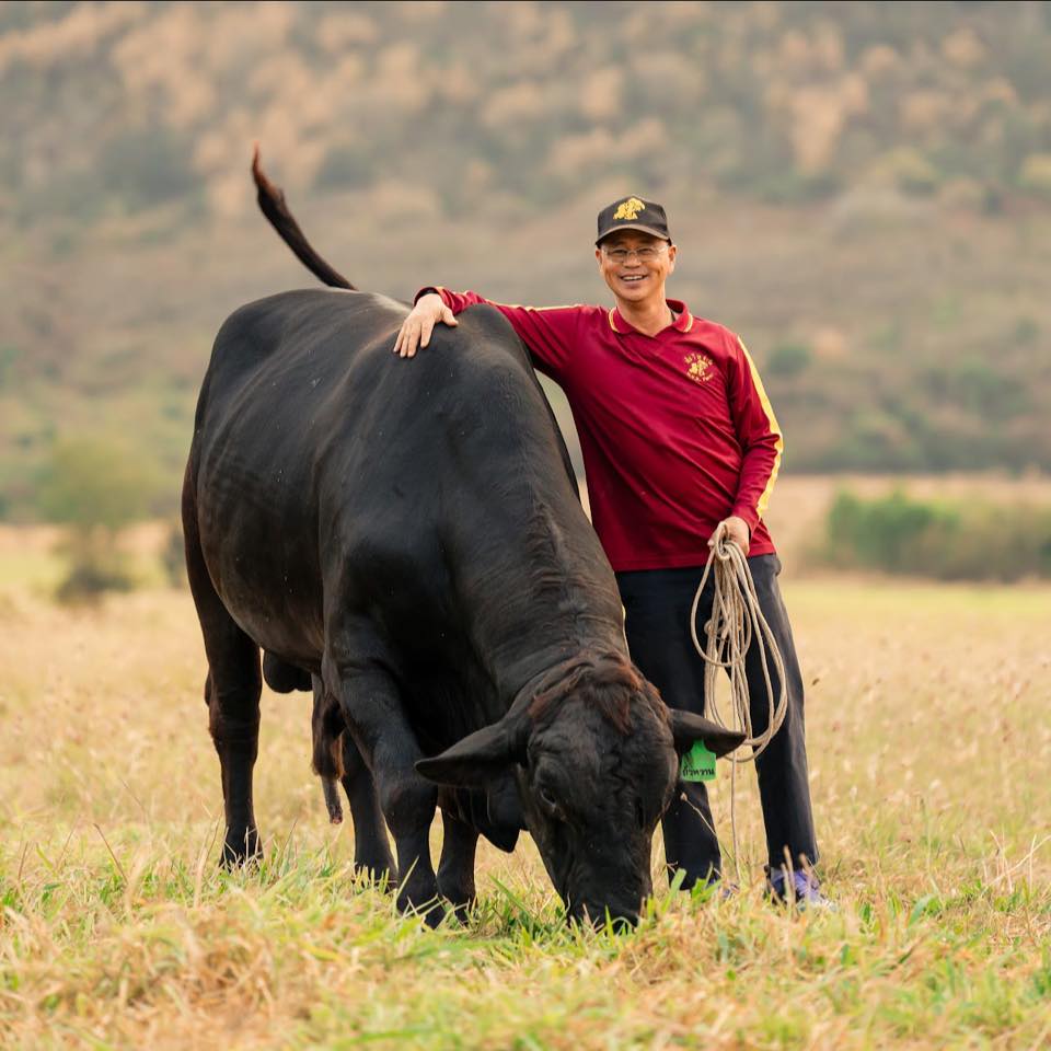 เอ็นไอเอเปิดเกมพลิกโฉมนวัตกรรมโคเนื้อไทยชิงมูลค่าตลาด – ผู้บริโภค กระตุ้นแบรนด์ดิ้งโคเนื้อพรีเมียมท้องถิ่นในงาน “Thailand Beef Fest 2026” พร้อมดึง 4 มหาอำนาจเนื้อร่วมยกระดับมาตรฐานและการแข่งขัน