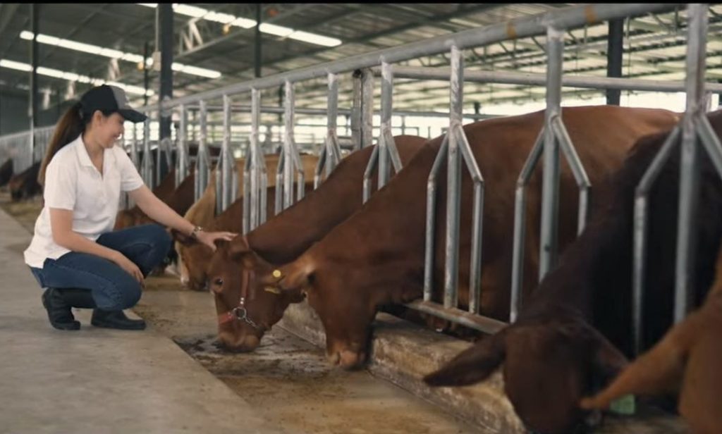 เอ็นไอเอเปิดเกมพลิกโฉมนวัตกรรมโคเนื้อไทยชิงมูลค่าตลาด – ผู้บริโภค กระตุ้นแบรนด์ดิ้งโคเนื้อพรีเมียมท้องถิ่นในงาน “Thailand Beef Fest 2026” พร้อมดึง 4 มหาอำนาจเนื้อร่วมยกระดับมาตรฐานและการแข่งขัน