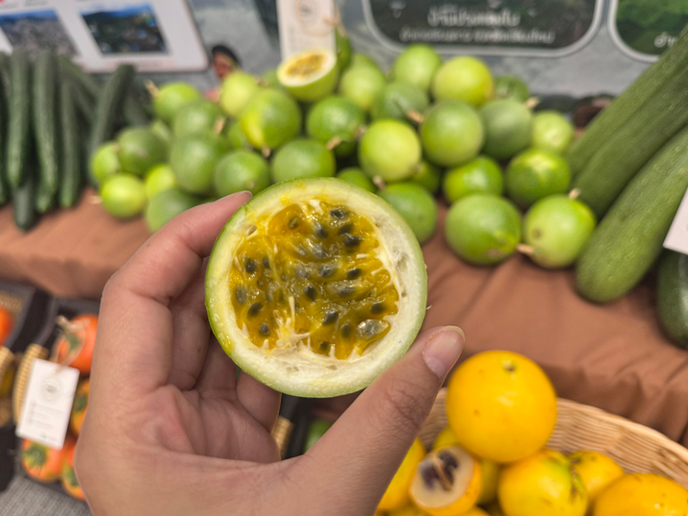 ARDA บุกภาคเหนือ! จัดงาน “ARDA x North” โชว์ผลสำเร็จวิจัย 430 ล้าน เปลี่ยนพืชเกษตรสู่ทำเงิน-ลดมลพิษ