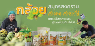 กล้วยสมุทรสงคราม สร้างงาน สร้างรายได้ ยกระดับธุรกิจชุมชนสู่โมเดลปันกันที่ยั่งยืน