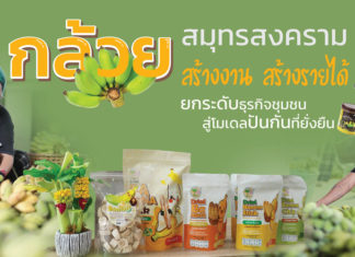 กล้วยสมุทรสงคราม สร้างงาน สร้างรายได้ ยกระดับธุรกิจชุมชนสู่โมเดลปันกันที่ยั่งยืน กล้วยสมุทรสงคราม สร้างงาน สร้างรายได้ ยกระดับธุรกิจชุมชนสู่โมเดลปันกันที่ยั่งยืน