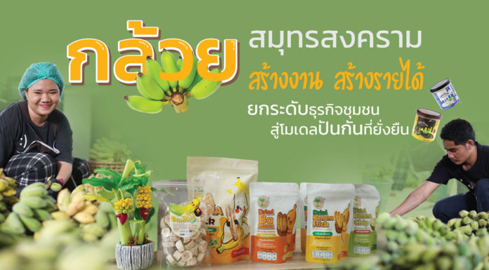 กล้วยสมุทรสงคราม สร้างงาน สร้างรายได้ ยกระดับธุรกิจชุมชนสู่โมเดลปันกันที่ยั่งยืน กล้วยสมุทรสงคราม สร้างงาน สร้างรายได้ ยกระดับธุรกิจชุมชนสู่โมเดลปันกันที่ยั่งยืน