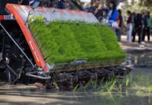 สยามคูโบต้า x กรมการข้าว ปั้น “พิจิตรแซนบ็อกซ์” โมเดลนาดำคาร์บอนต่ำ ทางรอดใหม่เกษตรกรไทยสู้โลกร้อน สยามคูโบต้า จับมือ กรมการข้าว ดัน “พิจิตรแซนบ็อกซ์” ต้นแบบนาดำคาร์บอนต่ำ