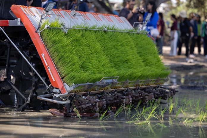 สยามคูโบต้า จับมือ กรมการข้าว ดัน “พิจิตรแซนบ็อกซ์” ต้นแบบนาดำคาร์บอนต่ำ