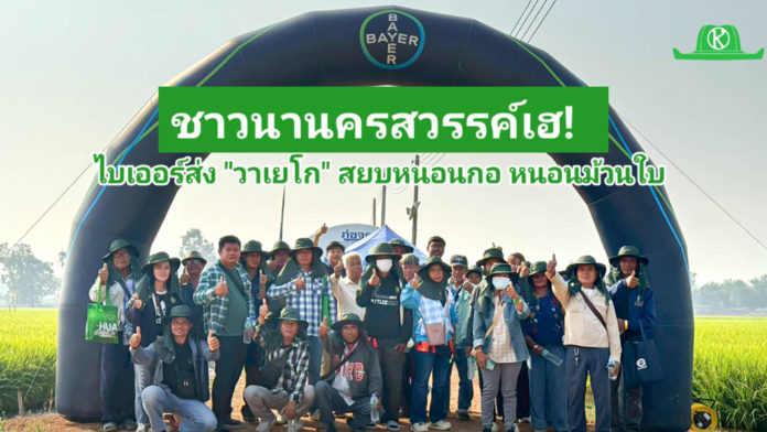 ชาวนานครสวรรค์เฮ! ไบเออร์ส่ง ‘วาเยโก’ นวัตกรรมสยบหนอนกอ-หนอนม้วนใบ ไบเออร์ไทย โชว์นวัตกรรมอารักขาพืชในงาน “นวัตกรรมข้าวไทย เพื่อโลกที่ยั่งยืน ครั้งที่ 2” แนะนำ “วาเยโก” โซลูชันใหม่จัดการหนอนกอ-หนอนม้วนใบ หนุนเกษตรกรนครสวรรค์เพิ่มผลผลิตอย่างยั่งยืน