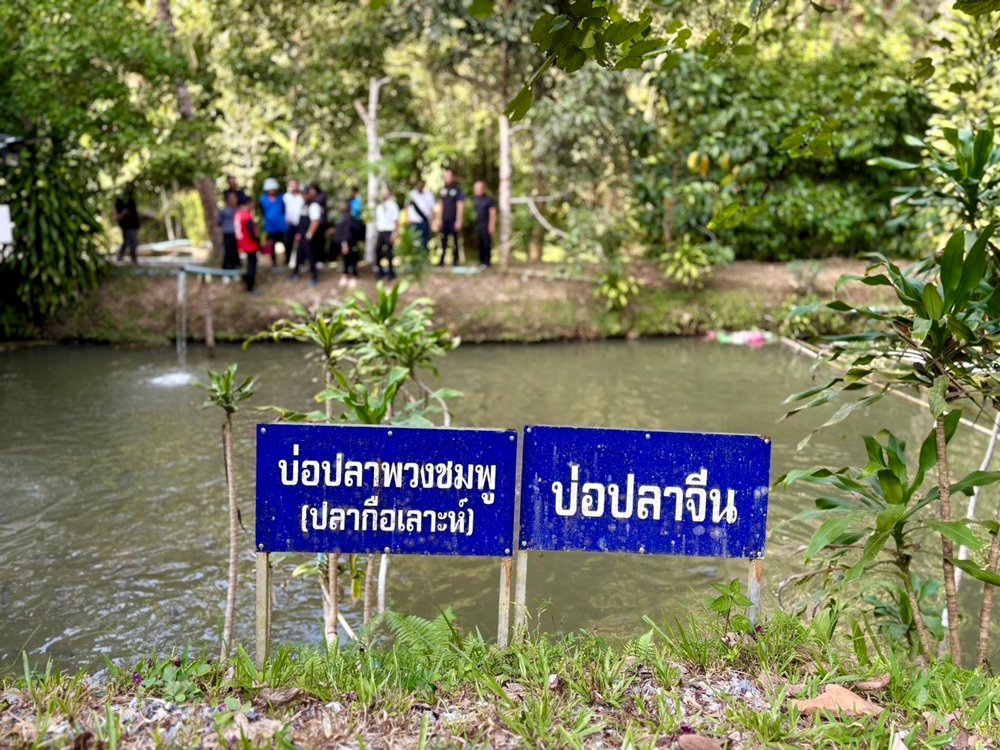 กรมประมงดัน “ปลาพลวงชมพู” ขึ้นแท่นสินค้า GI ดาวรุ่งตัวใหม่ของจังหวัดยะลา ยกระดับของดีประจำถิ่นสู่สินค้ามูลค่าสูง กระตุ้นเศรษฐกิจจังหวัดชายแดนใต้