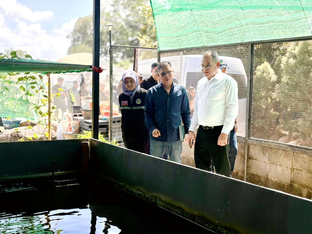 กรมประมงดัน “ปลาพลวงชมพู” ขึ้นแท่นสินค้า GI ดาวรุ่งตัวใหม่ของจังหวัดยะลา ยกระดับของดีประจำถิ่นสู่สินค้ามูลค่าสูง กระตุ้นเศรษฐกิจจังหวัดชายแดนใต้