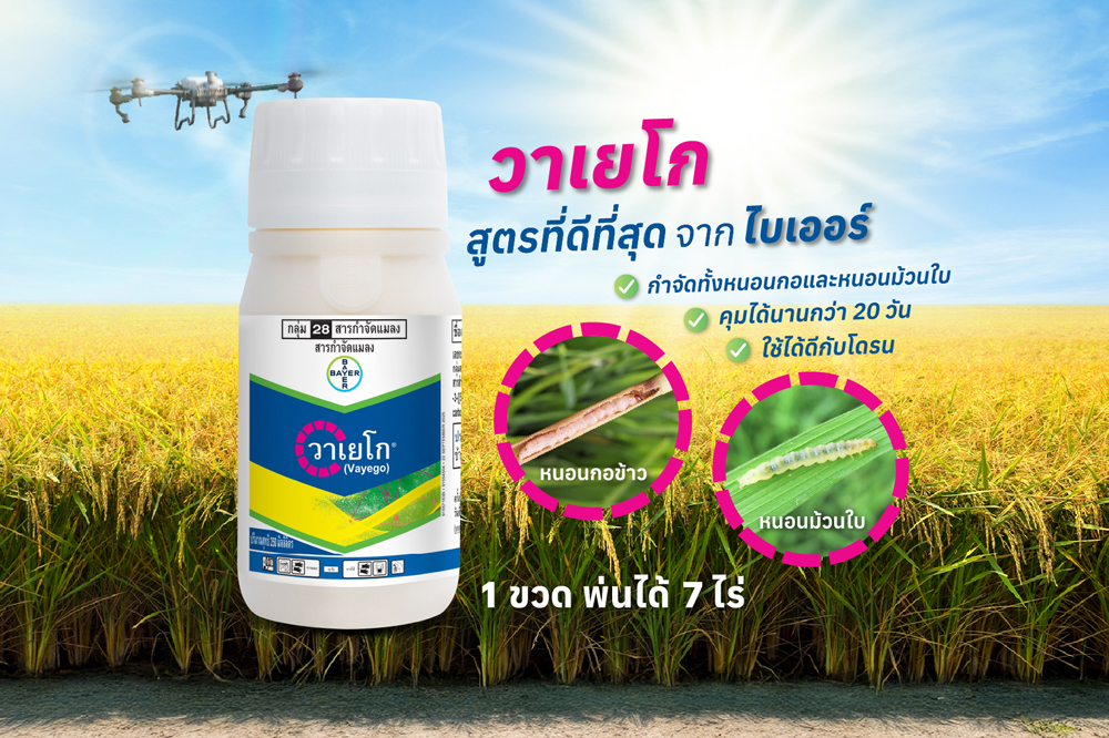 ไบเออร์ไทย โชว์นวัตกรรมอารักขาพืชในงาน “นวัตกรรมข้าวไทย เพื่อโลกที่ยั่งยืน ครั้งที่ 2” แนะนำ “วาเยโก” โซลูชันใหม่จัดการหนอนกอ-หนอนม้วนใบ หนุนเกษตรกรนครสวรรค์เพิ่มผลผลิตอย่างยั่งยืน