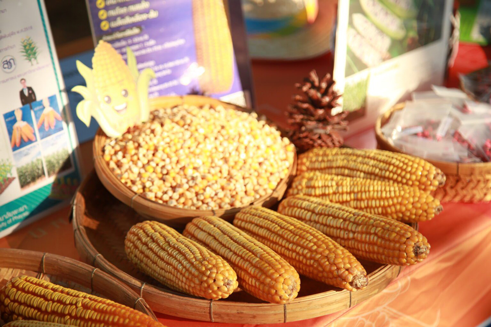 ARDA ลุยภาคเหนือ โชว์ 4 นวัตกรรมจาก “APP TECH”