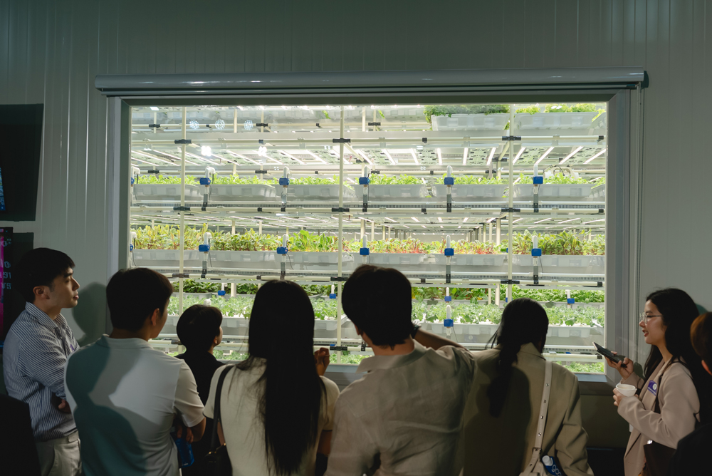 บริษัท ซีวิค อโกรเทค จำกัด เปิดตัว Plant Factory แห่งที่ 2 ชูวิสัยทัศน์ “Light For Life” ขับเคลื่อนเกษตรอัจฉริยะเพื่อคุณภาพชีวิตยั่งยืน