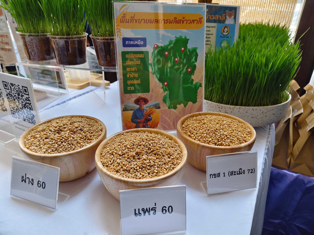 ARDA ลุยภาคเหนือ โชว์ 4 นวัตกรรมจาก “APP TECH” ชี้พลังงานวิจัยพลิกชีวิตเกษตรกร