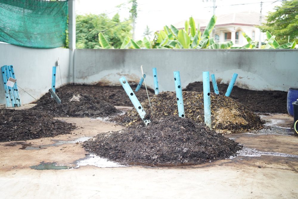 กล้วยสมุทรสงคราม สร้างงาน สร้างรายได้ 
ยกระดับธุรกิจชุมชนสู่โมเดลปันกันที่ยั่งยืน
