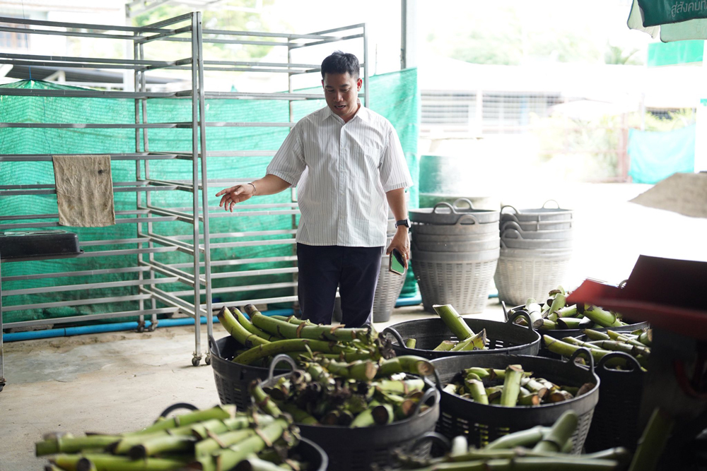 กล้วยสมุทรสงคราม สร้างงาน สร้างรายได้ ยกระดับธุรกิจชุมชนสู่โมเดลปันกันที่ยั่งยืน