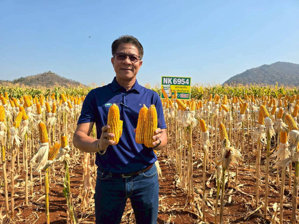 นายสามิต บุรีแก้ว กรรมการผู้จัดการ บริษัท ซินเจนทา ซีดส์ ประเทศไทย