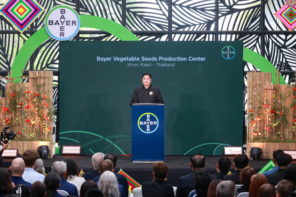 รพีภัทร์-จันทรศรีวงศ์