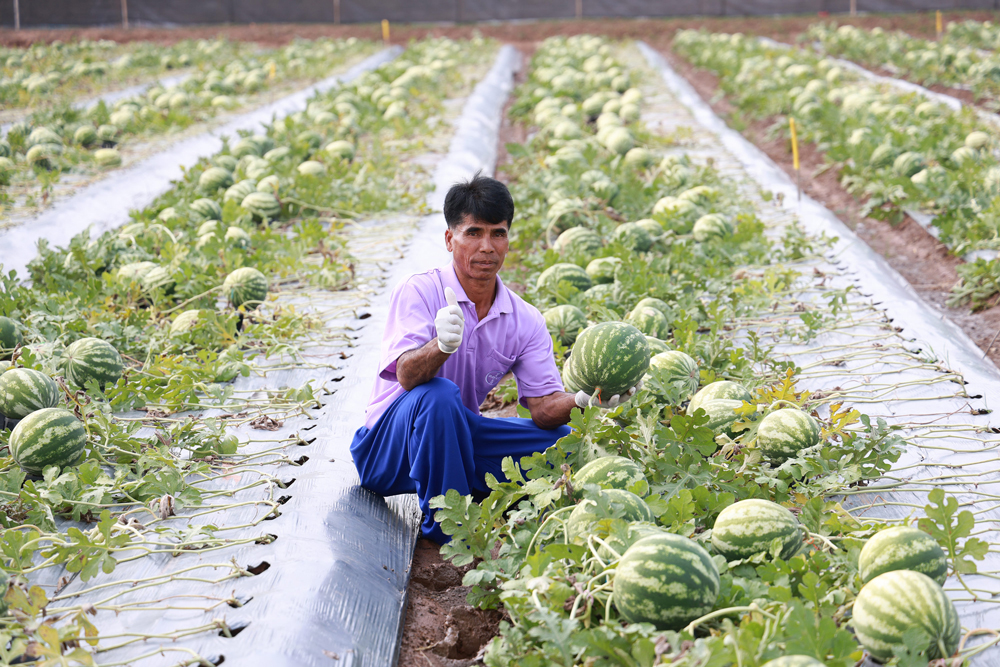 สุเทพ อุ่นแก้ว