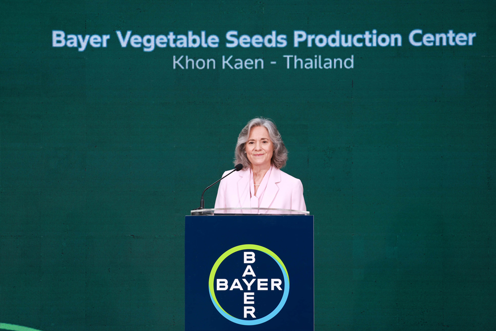 อินชิ-ดานเนนเบิร์ก