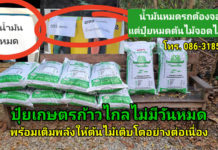 ปุ๋ยเกษตรก้าวไกลไม่มีวันหมด พร้อมเติมพลังให้ต้นไม้เติบโตอย่างต่อเนื่อง