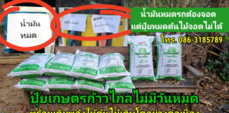 ปุ๋ยเกษตรก้าวไกลไม่มีวันหมด พร้อมเติมพลังให้ต้นไม้เติบโตอย่างต่อเนื่อง