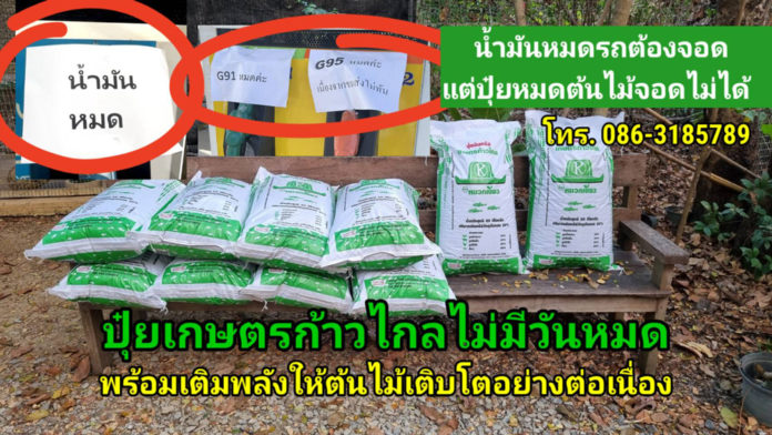 ปุ๋ยเกษตรก้าวไกลไม่มีวันหมด พร้อมเติมพลังให้ต้นไม้เติบโตอย่างต่อเนื่อง