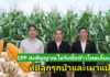 CPP ยกระดับระบบตรวจสอบย้อนกลับข้าวโพดเลี้ยงสัตว์ ชูเทคโนโลยีดาวเทียมและมาตรฐานสากล มุ่งเป้าเกษตรยั่งยืน ไม่รุกป่า ไม่มีการเผา