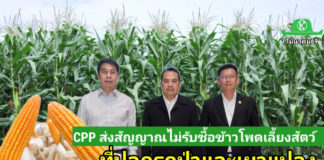 CPP ยกระดับระบบตรวจสอบย้อนกลับข้าวโพดเลี้ยงสัตว์ ชูเทคโนโลยีดาวเทียมและมาตรฐานสากล มุ่งเป้าเกษตรยั่งยืน ไม่รุกป่า ไม่มีการเผา
