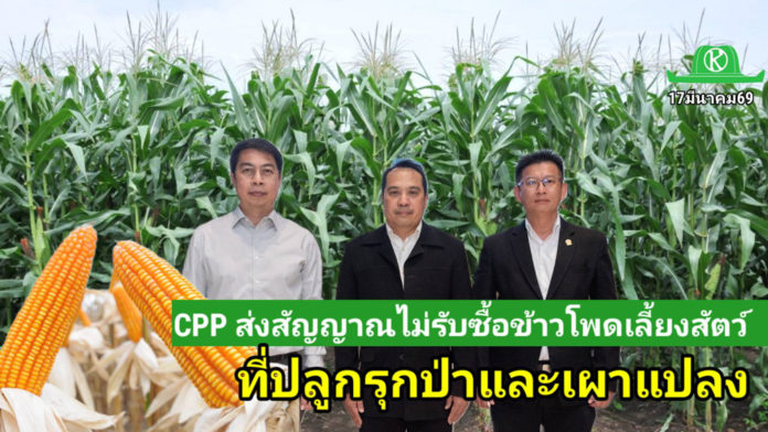CPP ยกระดับระบบตรวจสอบย้อนกลับข้าวโพดเลี้ยงสัตว์ ชูเทคโนโลยีดาวเทียมและมาตรฐานสากล มุ่งเป้าเกษตรยั่งยืน ไม่รุกป่า ไม่มีการเผา
