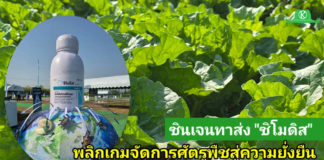 ซินเจนทา เขย่าวงการเกษตรไทย ส่ง “ซิโมดิส” ผลิตภัณฑ์นวัตกรรมระดับโลก พลิกเกมการจัดการศัตรูพืช สู่ความยั่งยืน