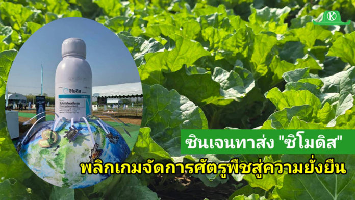 ซินเจนทา เขย่าวงการเกษตรไทย ส่ง “ซิโมดิส” ผลิตภัณฑ์นวัตกรรมระดับโลก พลิกเกมการจัดการศัตรูพืช สู่ความยั่งยืน
