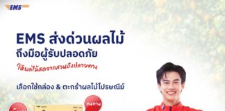 ไปรษณีย์ไทย ชู ‘EMS ส่งด่วนผลไม้’ ขับเคลื่อนเศรษฐกิจช่วงไฮซีซั่น เสริมศักยภาพเกษตรกรกระจายผลผลิต เชื่อมสวนผ่านโครงข่ายโลจิสติกส์สู่ผู้บริโภคทั่วประเทศ