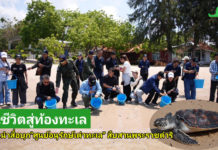 “กปร. นำคณะสื่อมวลชนลงพื้นที่สัตหีบ เปิดภารกิจ “ศูนย์อนุรักษ์พันธุ์เต่าทะเล” สืบสานพระราชดำริ ฟื้นชีวิตเต่าทะเล คืนสมดุลระบบนิเวศสู่ท้องทะเลไทย”