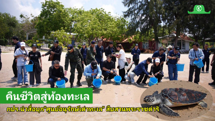 “กปร. นำคณะสื่อบุก “ศูนย์อนุรักษ์พันธุ์เต่าทะเล” “กปร. นำคณะสื่อมวลชนลงพื้นที่สัตหีบ เปิดภารกิจ “ศูนย์อนุรักษ์พันธุ์เต่าทะเล” สืบสานพระราชดำริ ฟื้นชีวิตเต่าทะเล คืนสมดุลระบบนิเวศสู่ท้องทะเลไทย”