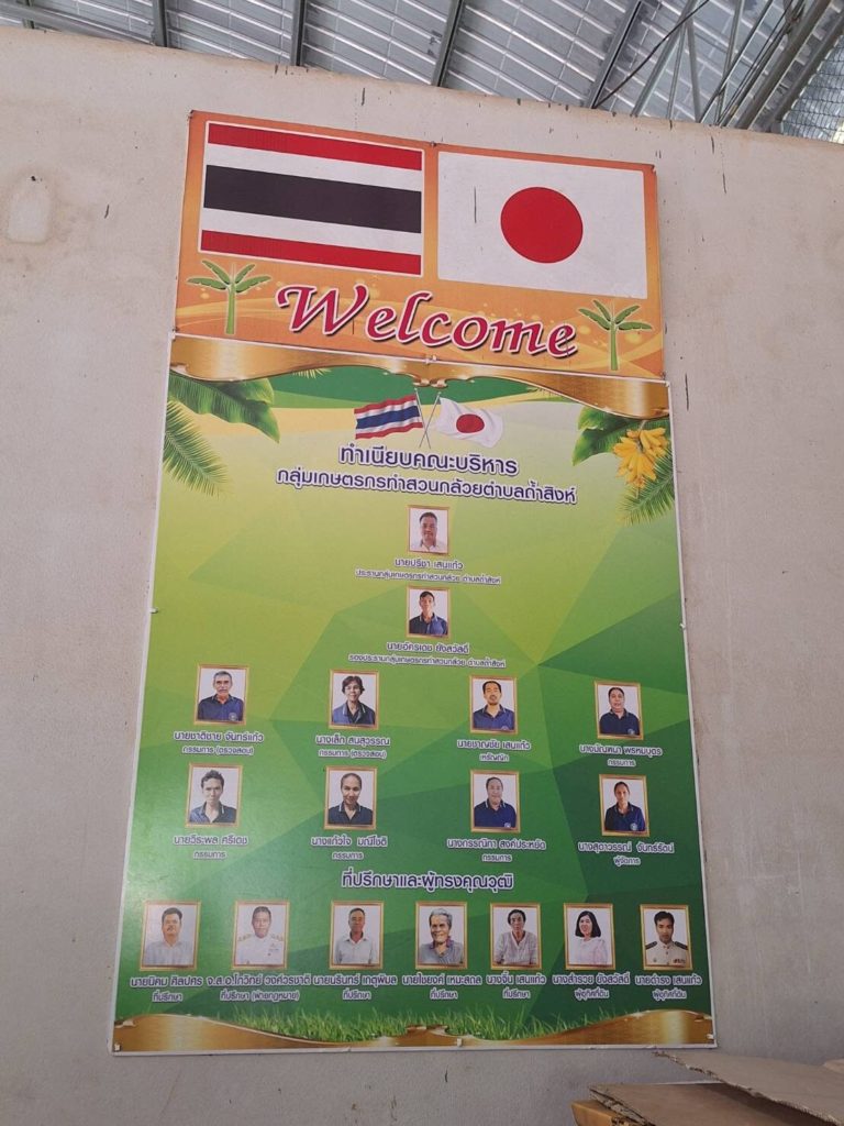 กรณีศึกษากล้วยหอมถ้ำสิงห์ส่งออกญี่ปุ่น รายได้เฉียด 1แสนต่อไร่ อาจไม่รวยวูบวาบแต่ยั่งยืนกว่า..