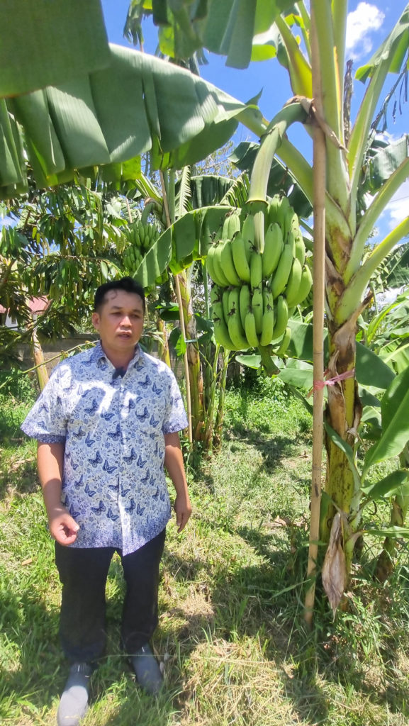 คุณภูธดา โพธิ์ศรีทอง สวนภูทิพย์พัทลุง