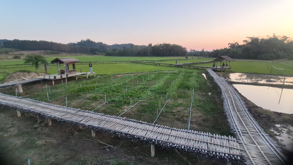 ธ.ก.ส. พาเที่ยวชุมชนบ้านนาต้นจั่น ที่นี่มีอะไรดี? นักท่องเที่ยวทั่วโลกจึงหลั่งไหลมา