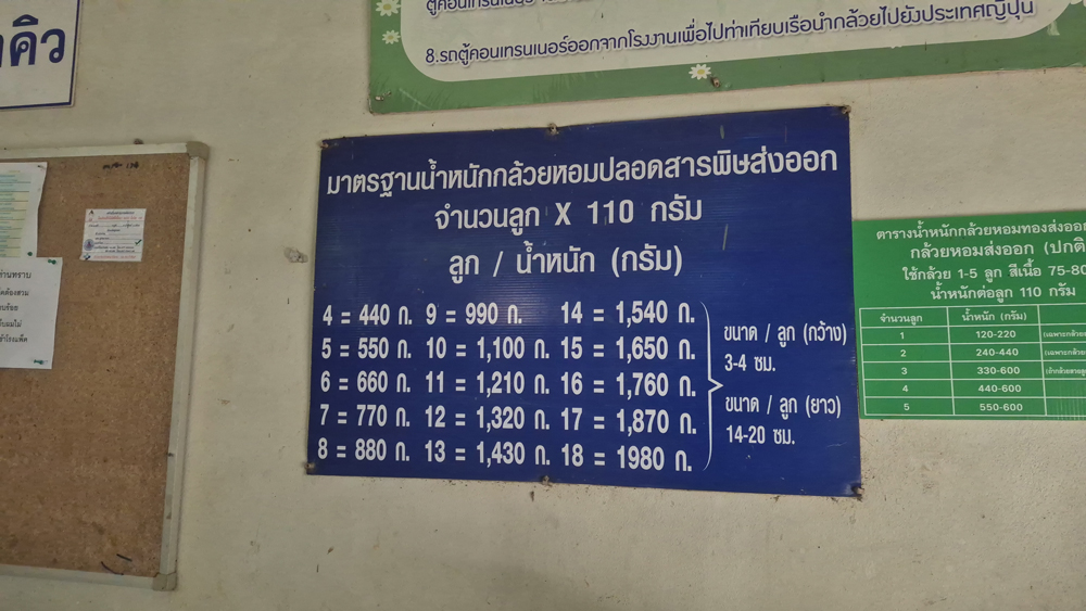 รณีศึกษากล้วยหอมถ้ำสิงห์ส่งออกญี่ปุ่น รายได้เฉียด 1แสนต่อไร่ อาจไม่รวยวูบวาบแต่ยั่งยืนกว่า..