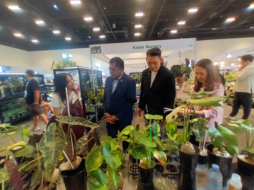 ไทยประกาศเป็นเบอร์ 1 ตลาดไม้แปลก-ไม้หายากโลก ชูเป็น Soft Power มูลค่าสูง ยกให้เป็น "Supercar" แห่งวงการพรรณไม้ ในงาน Bangkok International Exotic Plants Show & Sale ครั้งที่ 19 #Spring