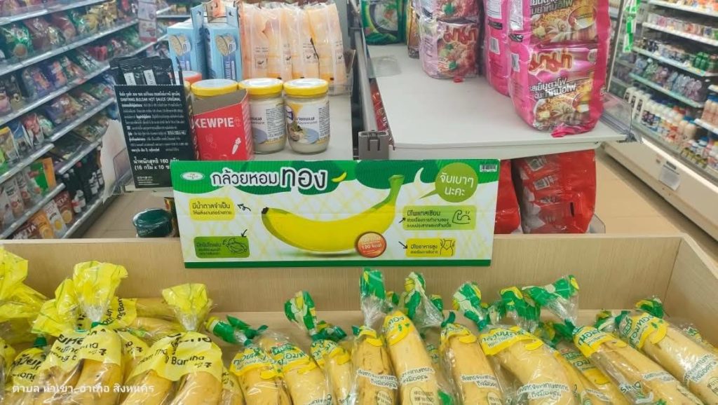 ปลูกกล้วยหอมส่งเซเว่น 7 จังหวัดภาคใต้ตอนล่างยังมีโอกาส...เผยมาตรฐานกล้วยที่ต้องการ