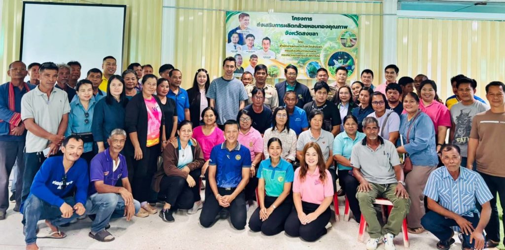 ปลูกกล้วยหอมส่งเซเว่น 7 จังหวัดภาคใต้ตอนล่างยังมีโอกาส...เผยมาตรฐานกล้วยที่ต้องการ