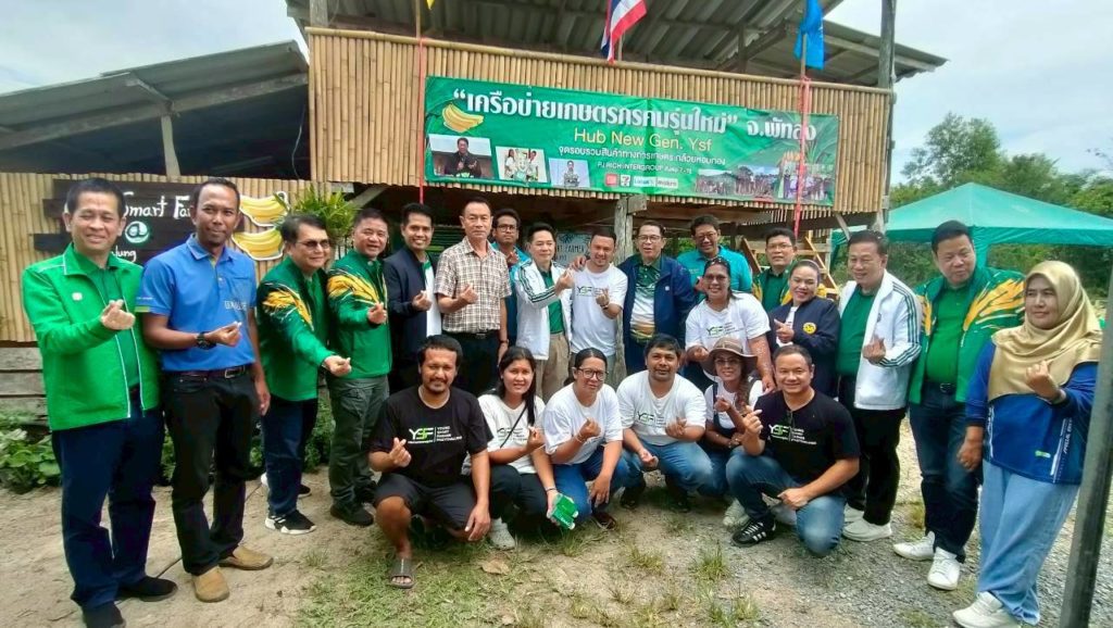 ปลูกกล้วยหอมส่งเซเว่น 7 จังหวัดภาคใต้ตอนล่างยังมีโอกาส...เผยมาตรฐานกล้วยที่ต้องการ