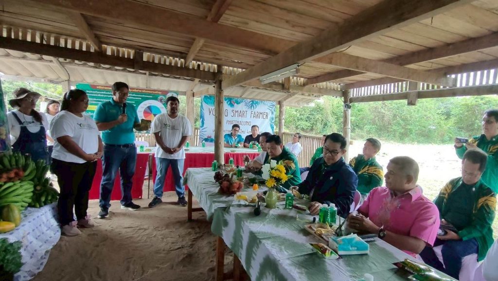 ปลูกกล้วยหอมส่งเซเว่น 7 จังหวัดภาคใต้ตอนล่างยังมีโอกาส...เผยมาตรฐานกล้วยที่ต้องการ