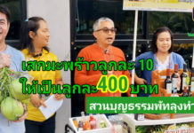 สวนบุญธรรมพัทลุงทำได้ จบบัญชีมาทำเกษตร เปลี่ยนมะพร้าวจากลูกละ 10 เป็น 400 บาท สวนบุญธรรมพัทลุงทำได้ จบบัญชีมาทำเกษตร เปลี่ยนมะพร้าวจากลูกละ 10 เป็น 400 บาท