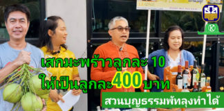 สวนบุญธรรมพัทลุงทำได้ จบบัญชีมาทำเกษตร เปลี่ยนมะพร้าวจากลูกละ 10 เป็น 400 บาท
