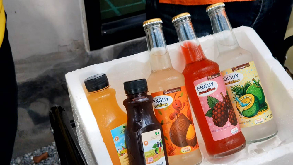 สวนบุญธรรมพัทลุงทำได้ จบบัญชีมาทำเกษตร เปลี่ยนมะพร้าวจากลูกละ 10 เป็น 400 บาท