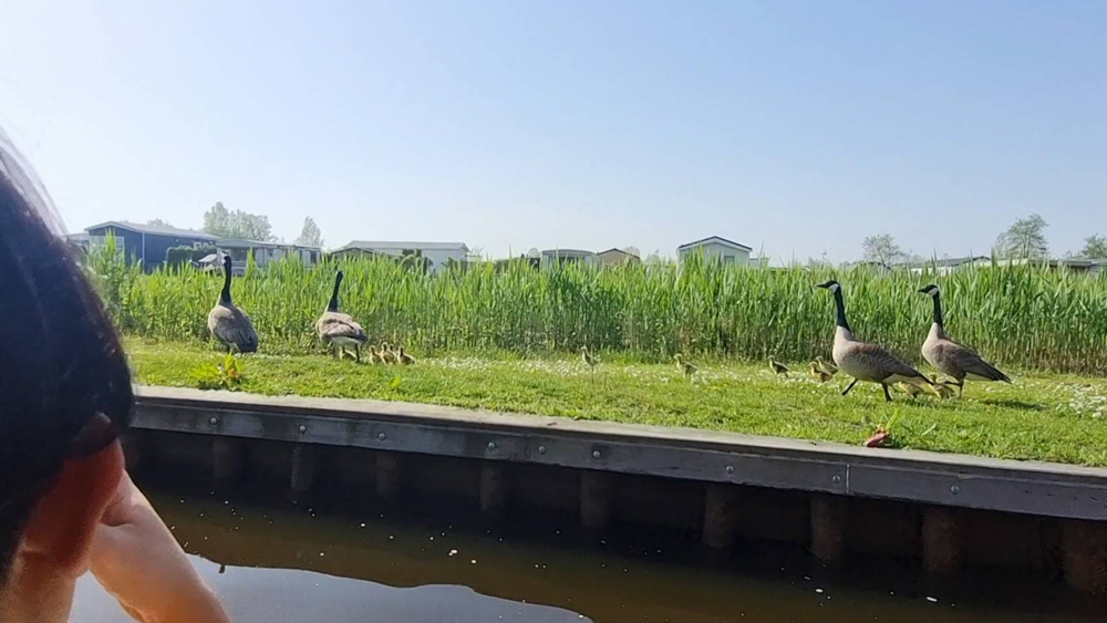 ชุมชนท่องเที่ยวบ้านไหนหนัง วาดฝันรับนักท่องเที่ยวทั่วโลก ด้วยเรือพลังงานสะอาดนำเที่ยววิถีใหม่