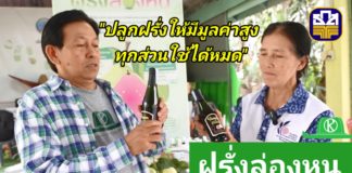 ธ.ก.ส.หนุน "ฝรั่งล่องหน" ปลูกฝรั่งให้มีมูลค่าสูงตามแบบฉบับชุมชนบ้านหัวอ่าว จ.นครปฐม