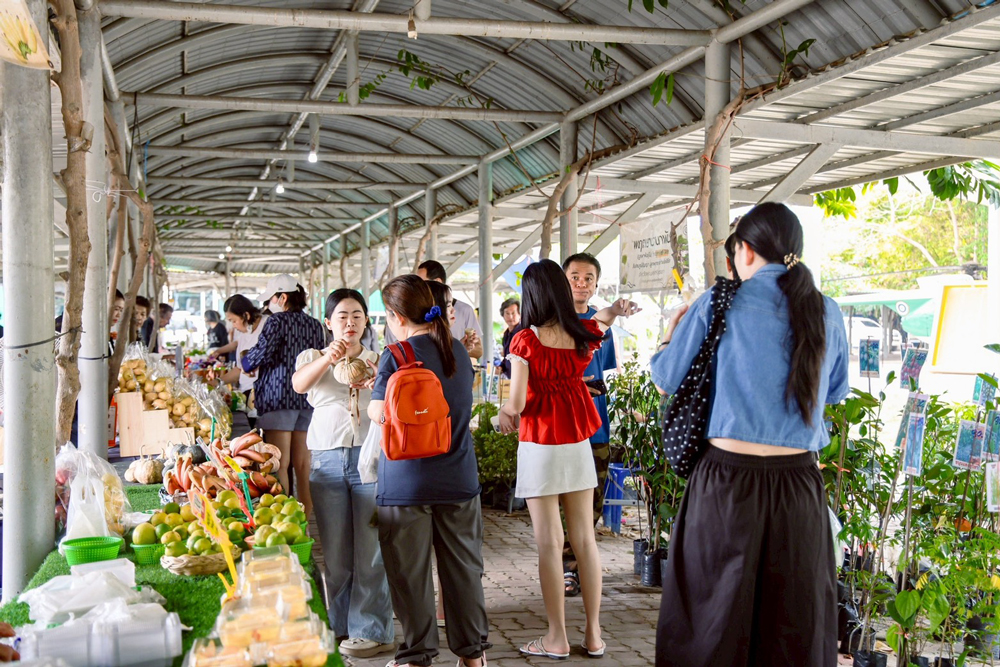 เช็กอินด่วน! งานตลาดเศรษฐกิจพอเพียง "สุขใจในวิถีเกษตร" @พิพิธภัณฑ์การเกษตรฯ ปทุมธานี 7-8 มี.ค. นี้