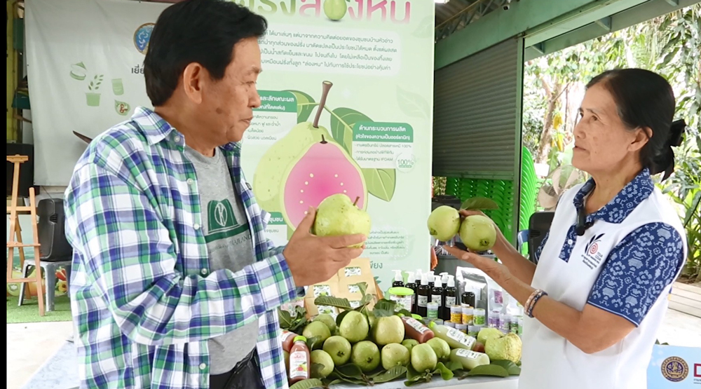 ธ.ก.ส.หนุน "ฝรั่งล่องหน" ปลูกฝรั่งให้มีมูลค่าสูงตามแบบฉบับชุมชนบ้านหัวอ่าว จ.นครปฐม