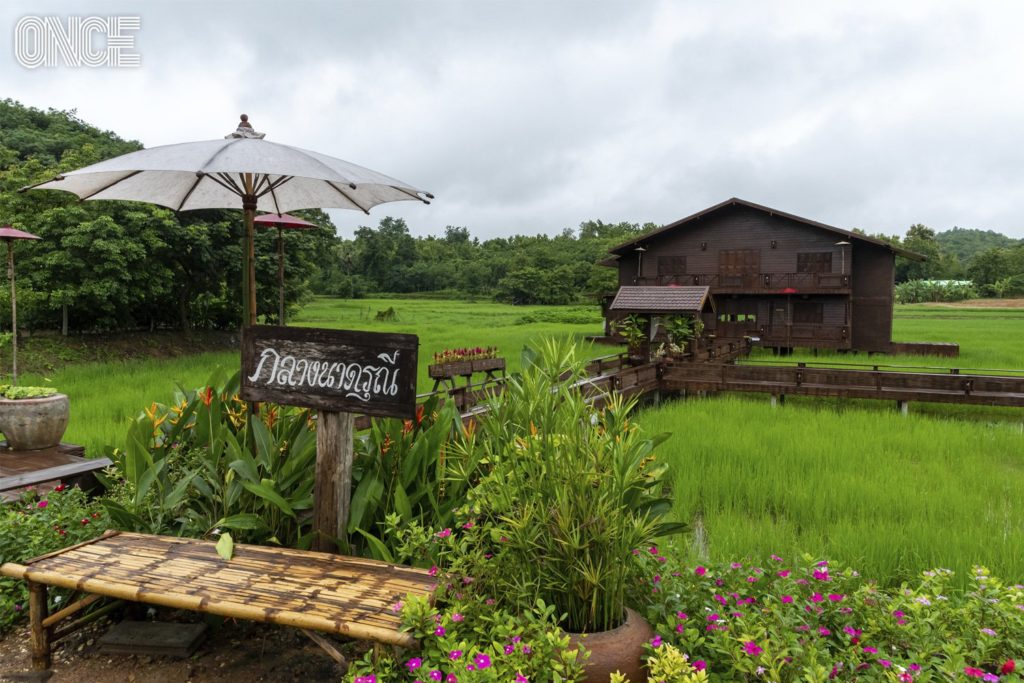 ธ.ก.ส. พาเที่ยวชุมชนบ้านนาต้นจั่น ที่นี่มีอะไรดี? นักท่องเที่ยวทั่วโลกจึงหลั่งไหลมา