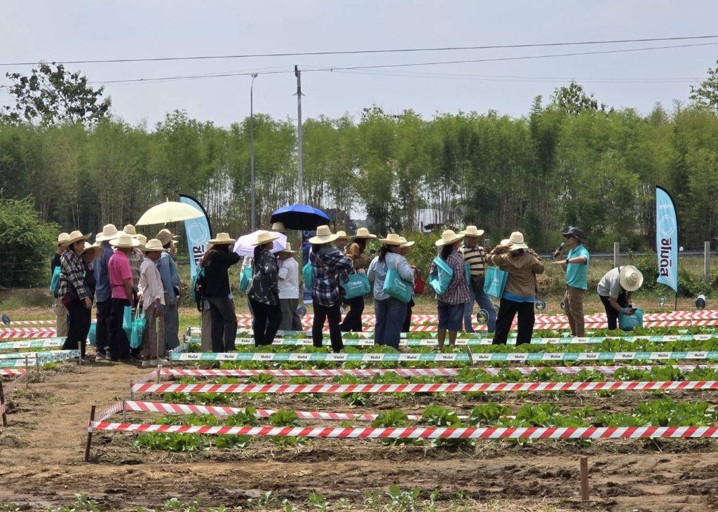 ซินเจนทา เขย่าวงการเกษตรไทย ส่ง “ซิโมดิส” ผลิตภัณฑ์นวัตกรรมระดับโลก พลิกเกมการจัดการศัตรูพืช สู่ความยั่งยืน